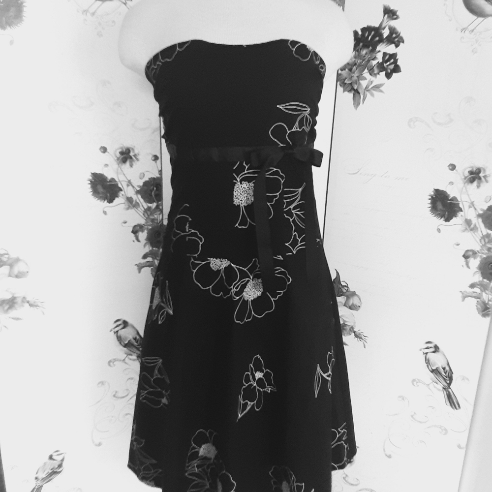Ladies dress